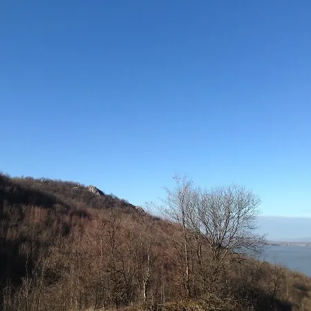 Dedine 게스트하우스