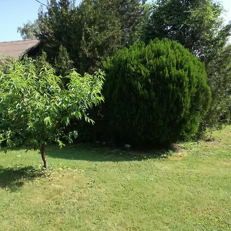 Dedine 게스트하우스 골루바츠