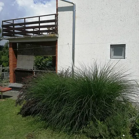 Dedine 게스트하우스 골루바츠