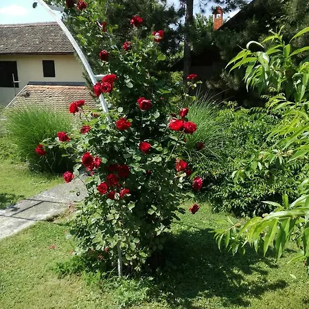 게스트하우스 Dedine 3*