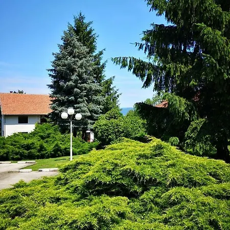 게스트하우스 Dedine 3*