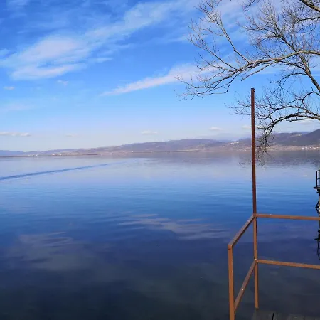 게스트하우스 Dedine 3*